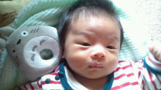 20100503080158.jpg
