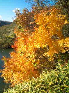 20101121112818.jpg