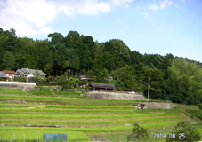まだま村付近は本当に静かな町です