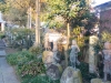 不動寺