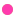 dotto_under