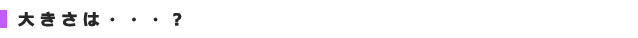 大きさは・・・?