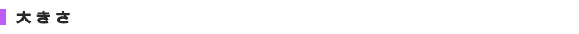 大きさ