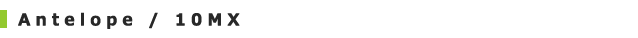 interbeejugem_87