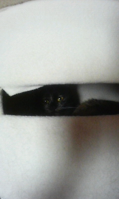 200905100633001.jpg