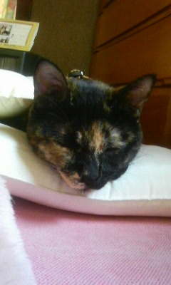 200905100632001.jpg