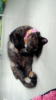 201105021328001.jpg