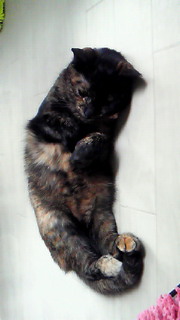 201105021329001.jpg
