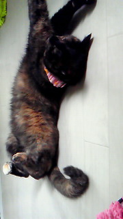 201105021329002.jpg