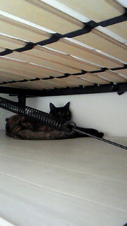 201106231305001.jpg