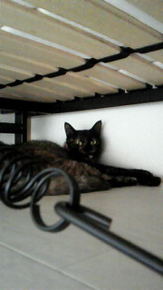 201106231306000.jpg