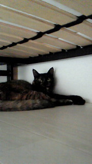 201106231306001.jpg