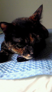 201106231307000.jpg