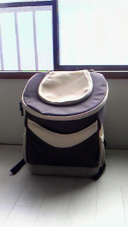 201106231312000.jpg