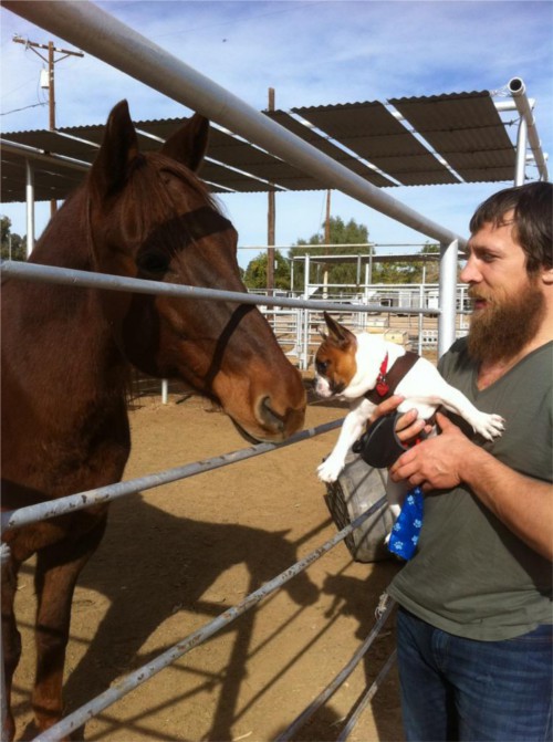 WWEの噂・裏技・裏話_ダニエル・ブライアンのTwitterは愛犬への愛で溢れている