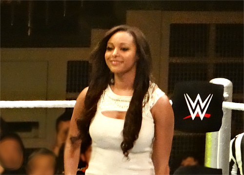 WWEの噂・裏技・裏話_WWE Live日本公演(2015年7月4日)レポート!