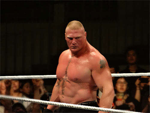 WWEの噂・裏技・裏話_WWE Live日本公演(2015年7月4日)レポート!