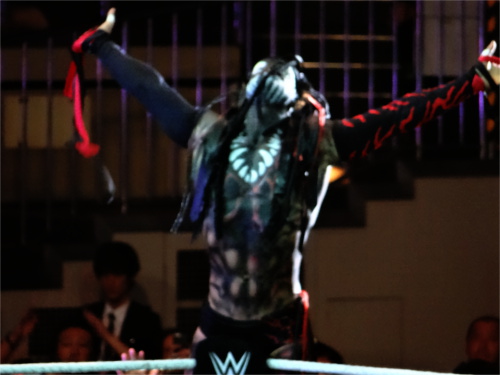 WWEの噂・裏技・裏話_WWE Live日本公演(2015年7月4日)レポート!