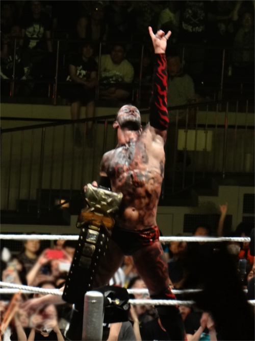 WWEの噂・裏技・裏話_WWE Live日本公演(2015年7月4日)レポート!