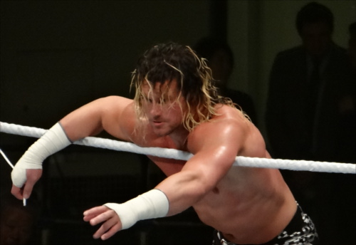 WWEの噂・裏技・裏話_かつてニッキーというリングネームだったスーパースターとは