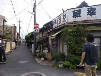yagi