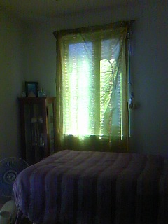 100805_1237~01.jpg