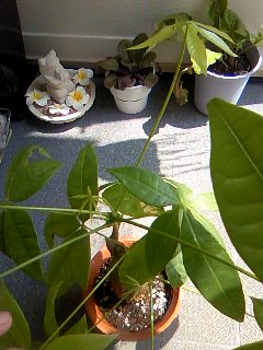 100827_1217~01.jpg