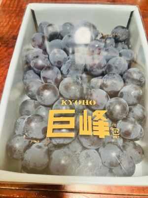 常陸太田の巨峰。 | 旅人が行く！