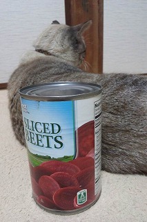 カボチャ