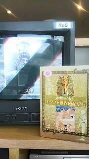 最近の発見