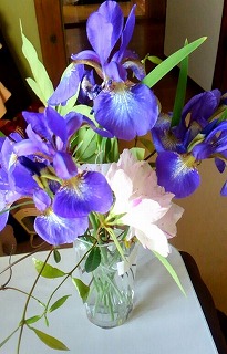 パール柑と、春の花