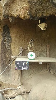 森きららに行ってきました