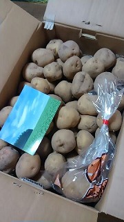 北海道と言えば