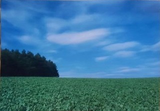 北海道と言えば