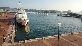 秋刀魚を食べながら、栄養学