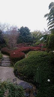 ハミルトン宇礼志野