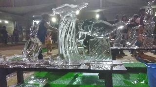 夜の長崎ペンギン水族館