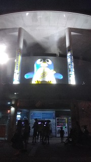 夜の長崎ペンギン水族館