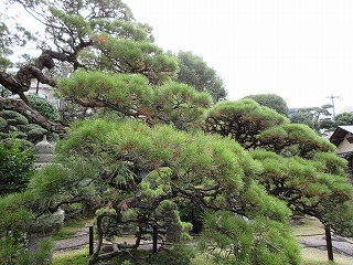 中の茶屋