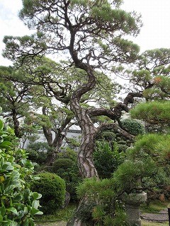 中の茶屋