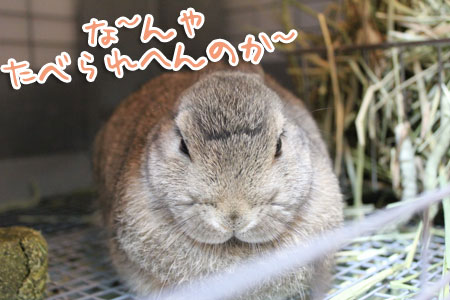 なんや
