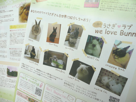 うさぎ