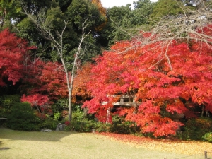 大河内山荘大乗閣庭園の紅葉