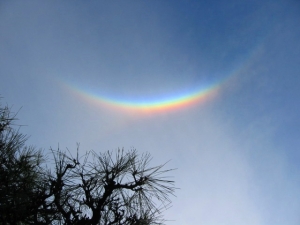 環天頂アークか 2007.3.16. 16:26