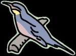 鳥