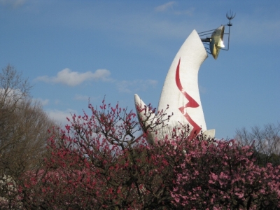自然文化園の梅と太陽の塔