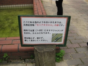 説明版