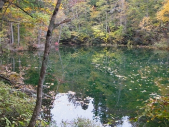 竜ヶ窪,紅葉の木々が水面に映り込んで