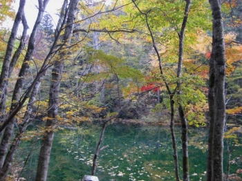 紅葉の竜ヶ窪