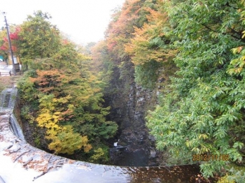 大源太川第1号砂防堰堤,アーチ型